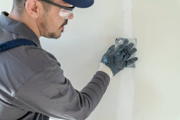 Best Fire-Damaged Drywall Repair  in Unionville, MO